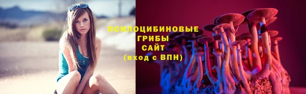 дурь Протвино