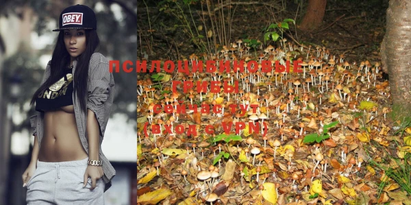 дурь Протвино