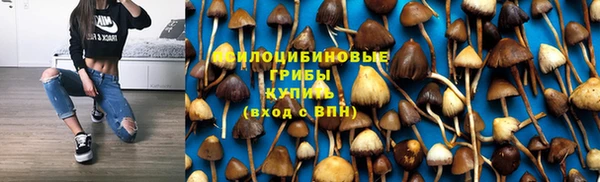 дурь Протвино